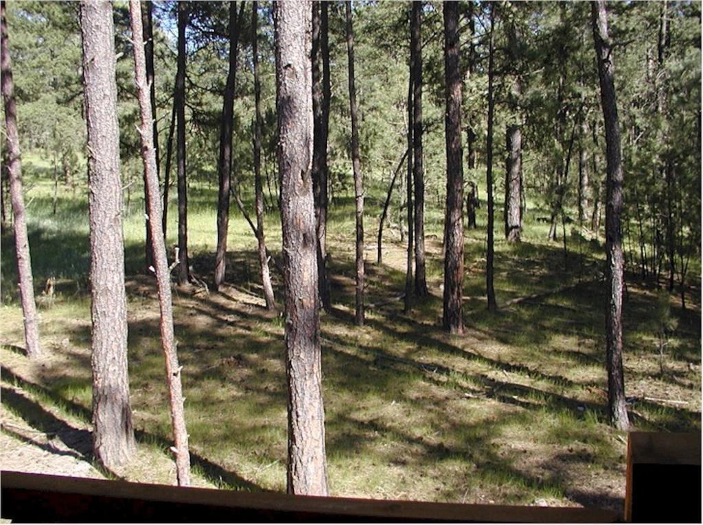 Comanche Lodge كاستر الغرفة الصورة